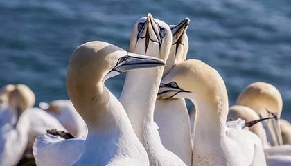 南平伴游，定制QQ：3494206190微信：act1322